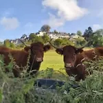 אתר קמפינג Mobil-home Confortable - 3 Pers. - Api-1-52-2032