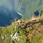 Mobil-home Confortable - 3 Pers. - Api-1-52-2032 אתר קמפינג La Tour-dʼAuvergne