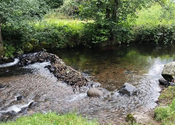 Mobil-home Confortable - 3 Pers. - Api-1-52-2032 Campsite