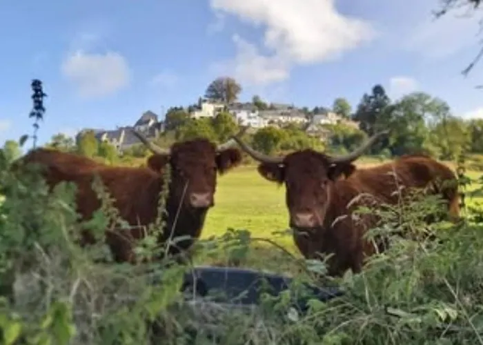 Campsite Mobil-home Confortable - 3 Pers. - Api-1-52-2032