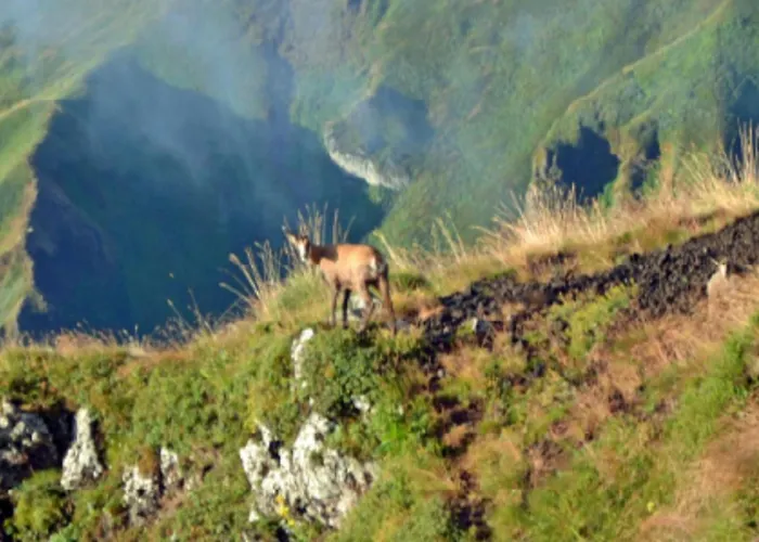 Mobil-home Confortable - 3 Pers. - Api-1-52-2032 Campsite La Tour-d'Auvergne